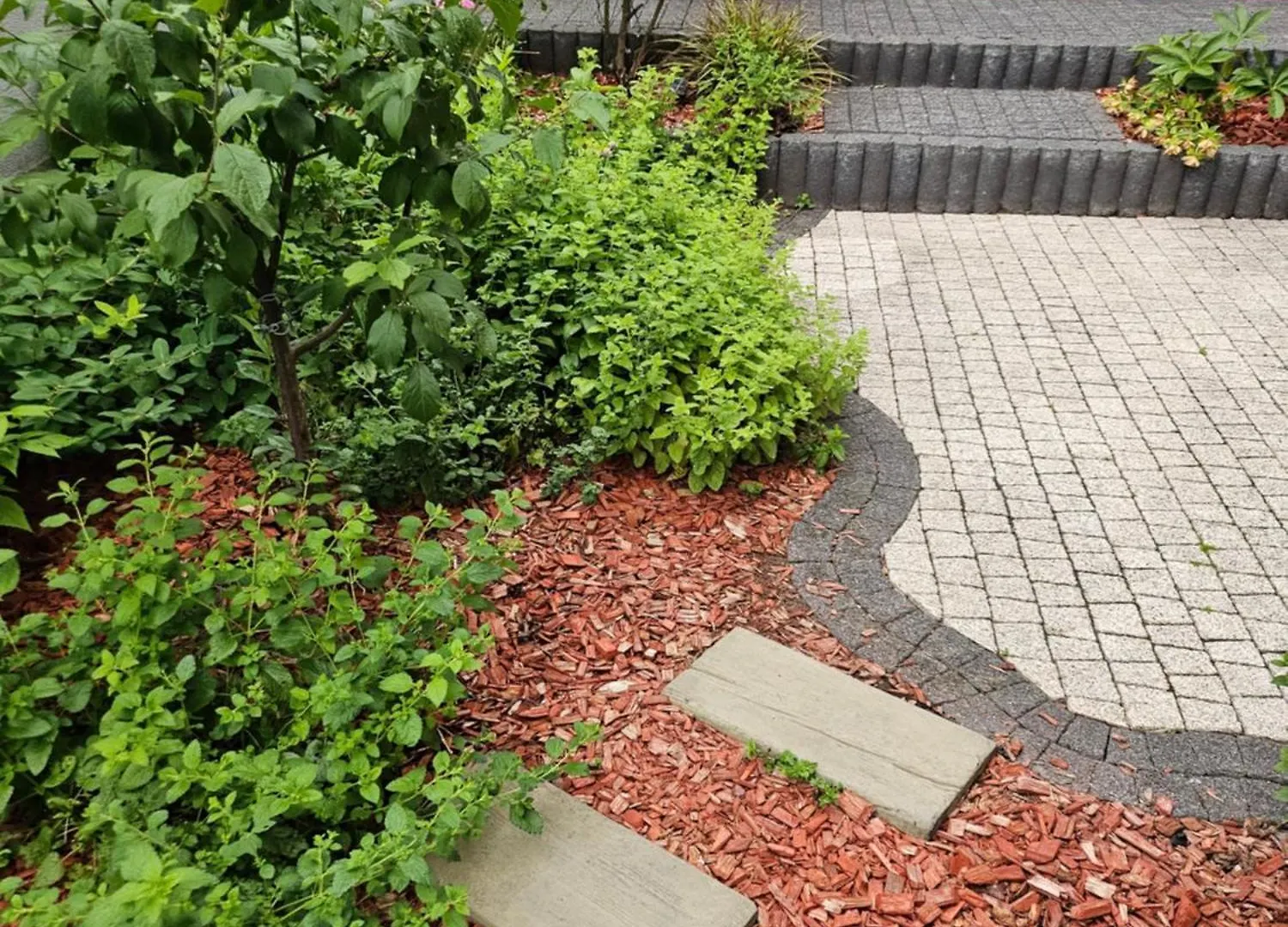 Wrocław Tanie Noclegi Apartament
